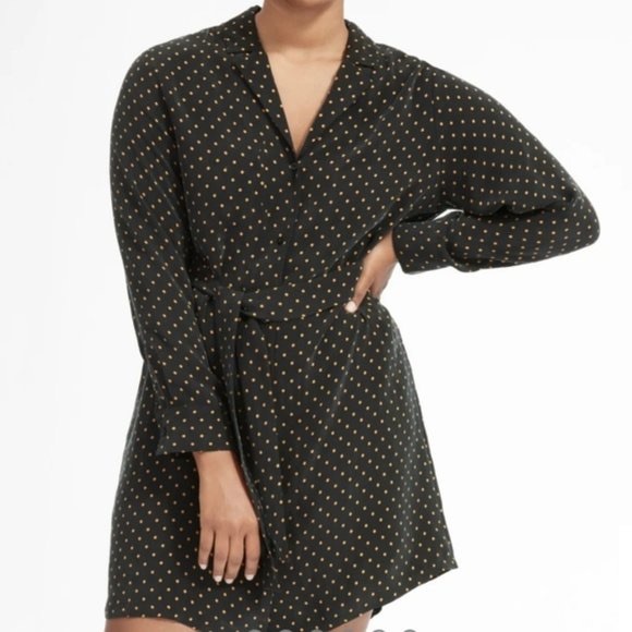 everlane polka dot shirt dress Everlane shirt dress womens